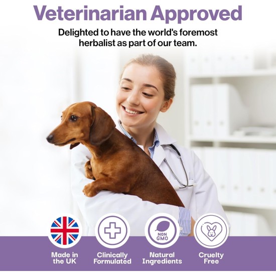 Probiotic Joint and Muscle Powder for Dogs - 100g - Comfortable Movement - Joint Preparations for Dogs - Glucosamine, Hip and Joint Care - Pain Relieving Joint Aid for Dogs - 10 Mi Probiotic Joint and Muscle Powder for Dogs - 100g - Comfortable Movement - Joint Preparations for Dogs - Glucosamine, Hip and Joint Care - Pain Relieving Joint Aid for Dogs - 10 Mi