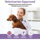 Probiotic Joint and Muscle Powder for Dogs - 100g - Comfortable Movement - Joint Preparations for Dogs - Glucosamine, Hip and Joint Care - Pain Relieving Joint Aid for Dogs - 10 Mi Probiotic Joint and Muscle Powder for Dogs - 100g - Comfortable Movement - Joint Preparations for Dogs - Glucosamine, Hip and Joint Care - Pain Relieving Joint Aid for Dogs - 10 Mi