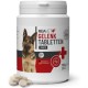 ReaVET Joint Tablets Dog I 120 Pieces for 8 Months I Joint Tablets for Dogs with Green-Lipped Mussel I For New Joy of Movement I Joint Tablets Dog