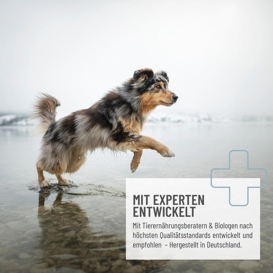 ReaVET Joint Tablets Dog I 120 Pieces for 8 Months I Joint Tablets for Dogs with Green-Lipped Mussel I For New Joy of Movement I Joint Tablets Dog ReaVET Joint Tablets Dog I 120 Pieces for 8 Months I Joint Tablets for Dogs with Green-Lipped Mussel I For New Joy of Movement I Joint Tablets Dog