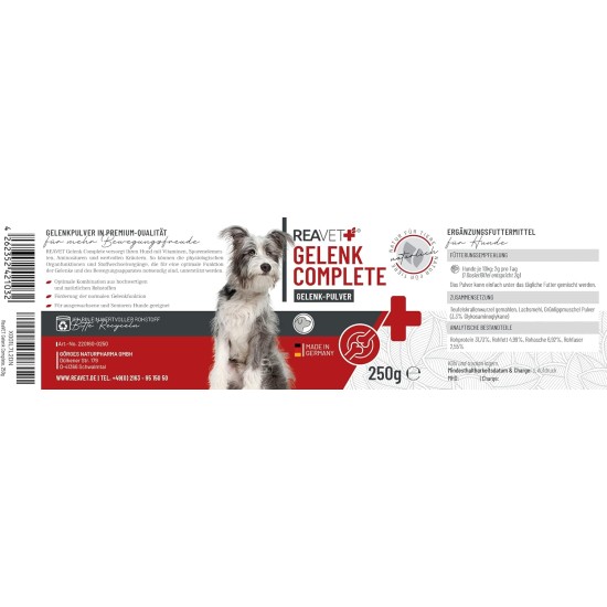 ReaVET Joint Tablets Dog I 120 Pieces for 8 Months I Joint Tablets for Dogs with Green-Lipped Mussel I For New Joy of Movement I Joint Tablets Dog ReaVET Joint Tablets Dog I 120 Pieces for 8 Months I Joint Tablets for Dogs with Green-Lipped Mussel I For New Joy of Movement I Joint Tablets Dog