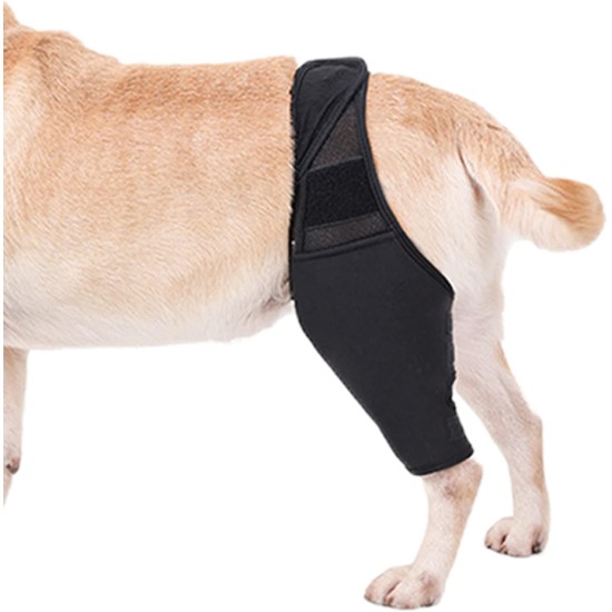 Teksome Hip Support for Dogs - Hip Brace for Dogs Fits Better to the Legs of the Dog | Dog Hip Joint Brace Provides Support and Comfort Without the Mobility of the Dog Teksome Hip Support for Dogs - Hip Brace for Dogs Fits Better to the Legs of the Dog | Dog Hip Joint Brace Provides Support and Comfort Without the Mobility of the Dog