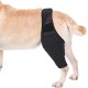 Teksome Hip Support for Dogs - Hip Brace for Dogs Fits Better to the Legs of the Dog | Dog Hip Joint Brace Provides Support and Comfort Without the Mobility of the Dog Teksome Hip Support for Dogs - Hip Brace for Dogs Fits Better to the Legs of the Dog | Dog Hip Joint Brace Provides Support and Comfort Without the Mobility of the Dog
