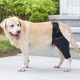 Teksome Hip Support for Dogs - Hip Brace for Dogs Fits Better to the Legs of the Dog | Dog Hip Joint Brace Provides Support and Comfort Without the Mobility of the Dog Teksome Hip Support for Dogs - Hip Brace for Dogs Fits Better to the Legs of the Dog | Dog Hip Joint Brace Provides Support and Comfort Without the Mobility of the Dog