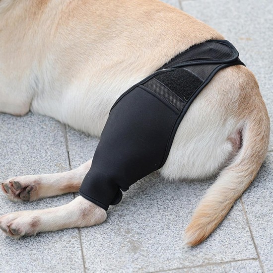 Teksome Hip Support for Dogs - Hip Brace for Dogs Fits Better to the Legs of the Dog | Dog Hip Joint Brace Provides Support and Comfort Without the Mobility of the Dog Teksome Hip Support for Dogs - Hip Brace for Dogs Fits Better to the Legs of the Dog | Dog Hip Joint Brace Provides Support and Comfort Without the Mobility of the Dog