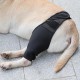Teksome Hip Support for Dogs - Hip Brace for Dogs Fits Better to the Legs of the Dog | Dog Hip Joint Brace Provides Support and Comfort Without the Mobility of the Dog Teksome Hip Support for Dogs - Hip Brace for Dogs Fits Better to the Legs of the Dog | Dog Hip Joint Brace Provides Support and Comfort Without the Mobility of the Dog
