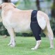 Teksome Hip Support for Dogs - Hip Brace for Dogs Fits Better to the Legs of the Dog | Dog Hip Joint Brace Provides Support and Comfort Without the Mobility of the Dog Teksome Hip Support for Dogs - Hip Brace for Dogs Fits Better to the Legs of the Dog | Dog Hip Joint Brace Provides Support and Comfort Without the Mobility of the Dog