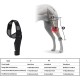 Teksome Hip Support for Dogs - Hip Brace for Dogs Fits Better to the Legs of the Dog | Dog Hip Joint Brace Provides Support and Comfort Without the Mobility of the Dog Teksome Hip Support for Dogs - Hip Brace for Dogs Fits Better to the Legs of the Dog | Dog Hip Joint Brace Provides Support and Comfort Without the Mobility of the Dog