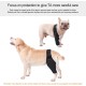 Teksome Hip Support for Dogs - Hip Brace for Dogs Fits Better to the Legs of the Dog | Dog Hip Joint Brace Provides Support and Comfort Without the Mobility of the Dog Teksome Hip Support for Dogs - Hip Brace for Dogs Fits Better to the Legs of the Dog | Dog Hip Joint Brace Provides Support and Comfort Without the Mobility of the Dog