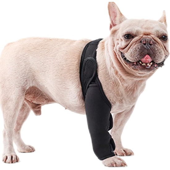 Teksome Hip Support for Dogs - Hip Brace for Dogs Fits Better to the Legs of the Dog | Dog Hip Joint Brace Provides Support and Comfort Without the Mobility of the Dog Teksome Hip Support for Dogs - Hip Brace for Dogs Fits Better to the Legs of the Dog | Dog Hip Joint Brace Provides Support and Comfort Without the Mobility of the Dog