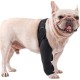 Teksome Hip Support for Dogs - Hip Brace for Dogs Fits Better to the Legs of the Dog | Dog Hip Joint Brace Provides Support and Comfort Without the Mobility of the Dog Teksome Hip Support for Dogs - Hip Brace for Dogs Fits Better to the Legs of the Dog | Dog Hip Joint Brace Provides Support and Comfort Without the Mobility of the Dog