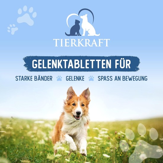 Tierkraft Joint Tablets for Dogs - Made in Germany - Joint Tablets with Green-Lipped Mussel - Devil's Claw - MSM - 100 Joint & Bone Protection Tablets Tierkraft Joint Tablets for Dogs - Made in Germany - Joint Tablets with Green-Lipped Mussel - Devil's Claw - MSM - 100 Joint & Bone Protection Tablets