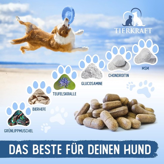 Tierkraft Joint Tablets for Dogs - Made in Germany - Joint Tablets with Green-Lipped Mussel - Devil's Claw - MSM - 100 Joint & Bone Protection Tablets Tierkraft Joint Tablets for Dogs - Made in Germany - Joint Tablets with Green-Lipped Mussel - Devil's Claw - MSM - 100 Joint & Bone Protection Tablets