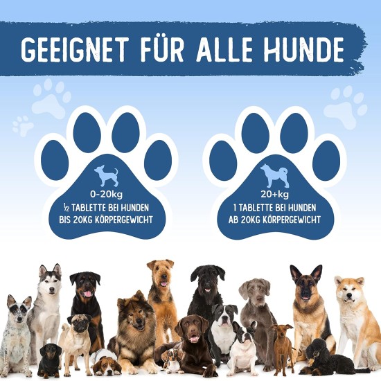 Tierkraft Joint Tablets for Dogs - Made in Germany - Joint Tablets with Green-Lipped Mussel - Devil's Claw - MSM - 100 Joint & Bone Protection Tablets Tierkraft Joint Tablets for Dogs - Made in Germany - Joint Tablets with Green-Lipped Mussel - Devil's Claw - MSM - 100 Joint & Bone Protection Tablets