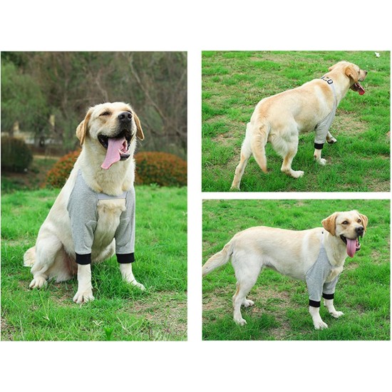 Tnfeeon Dog Elbow Protection Joint Pet Knee Matdog Knee Matdog Leg Brace Pet Dog Joint Warm Protective Cover Dog Elbow Protection Joint (L) Tnfeeon Dog Elbow Protection Joint Pet Knee Matdog Knee Matdog Leg Brace Pet Dog Joint Warm Protective Cover Dog Elbow Protection Joint (L)