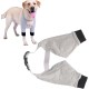 Tnfeeon Dog Elbow Protection Joint Pet Knee Matdog Knee Matdog Leg Brace Pet Dog Joint Warm Protective Cover Dog Elbow Protection Joint (L) Tnfeeon Dog Elbow Protection Joint Pet Knee Matdog Knee Matdog Leg Brace Pet Dog Joint Warm Protective Cover Dog Elbow Protection Joint (L)