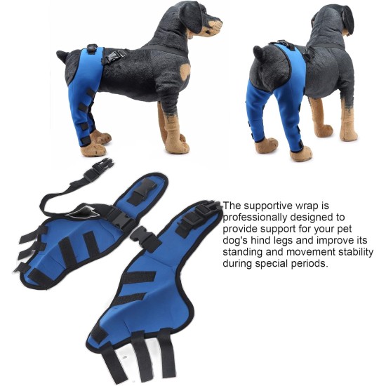 Tnfeeon Knee Support for Dogs, Leg Support for Ligament Injuries, Joint Pain and Sore Muscles, Adjustable Rear Support for Patella Dislocation (HJ27 Rear Legs Blue) Tnfeeon Knee Support for Dogs, Leg Support for Ligament Injuries, Joint Pain and Sore Muscles, Adjustable Rear Support for Patella Dislocation (HJ27 Rear Legs Blue)