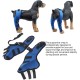 Tnfeeon Knee Support for Dogs, Leg Support for Ligament Injuries, Joint Pain and Sore Muscles, Adjustable Rear Support for Patella Dislocation (HJ27 Rear Legs Blue) Tnfeeon Knee Support for Dogs, Leg Support for Ligament Injuries, Joint Pain and Sore Muscles, Adjustable Rear Support for Patella Dislocation (HJ27 Rear Legs Blue)