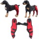 Tnfeeon Knee Support for Dogs, Leg Support for Ligament Injuries, Joint Pain and Sore Muscles, Adjustable Rear Support for Patella Dislocation (HJ27 Rear Legs Blue) Tnfeeon Knee Support for Dogs, Leg Support for Ligament Injuries, Joint Pain and Sore Muscles, Adjustable Rear Support for Patella Dislocation (HJ27 Rear Legs Blue)
