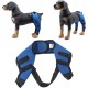 Tnfeeon Knee Support for Dogs, Leg Support for Ligament Injuries, Joint Pain and Sore Muscles, Adjustable Rear Support for Patella Dislocation (HJ27 Rear Legs Blue) Tnfeeon Knee Support for Dogs, Leg Support for Ligament Injuries, Joint Pain and Sore Muscles, Adjustable Rear Support for Patella Dislocation (HJ27 Rear Legs Blue)