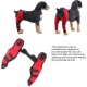 Tnfeeon Knee Support for Dogs, Leg Support for Ligament Injuries, Joint Pain and Sore Muscles, Adjustable Rear Support for Patella Dislocation (HJ27 Rear Legs Blue) Tnfeeon Knee Support for Dogs, Leg Support for Ligament Injuries, Joint Pain and Sore Muscles, Adjustable Rear Support for Patella Dislocation (HJ27 Rear Legs Blue)