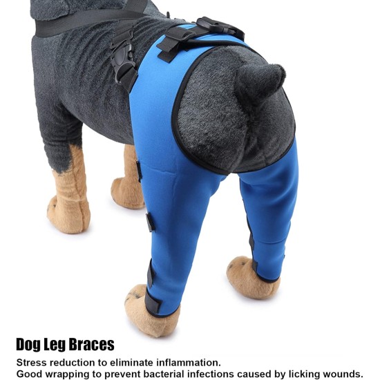 Tnfeeon Knee Support for Dogs, Leg Support for Ligament Injuries, Joint Pain and Sore Muscles, Adjustable Rear Support for Patella Dislocation (HJ27 Rear Legs Blue) Tnfeeon Knee Support for Dogs, Leg Support for Ligament Injuries, Joint Pain and Sore Muscles, Adjustable Rear Support for Patella Dislocation (HJ27 Rear Legs Blue)