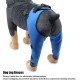 Tnfeeon Knee Support for Dogs, Leg Support for Ligament Injuries, Joint Pain and Sore Muscles, Adjustable Rear Support for Patella Dislocation (HJ27 Rear Legs Blue) Tnfeeon Knee Support for Dogs, Leg Support for Ligament Injuries, Joint Pain and Sore Muscles, Adjustable Rear Support for Patella Dislocation (HJ27 Rear Legs Blue)