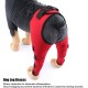 Tnfeeon Knee Support for Dogs, Leg Support for Ligament Injuries, Joint Pain and Sore Muscles, Adjustable Rear Support for Patella Dislocation (HJ27 Rear Legs Blue) Tnfeeon Knee Support for Dogs, Leg Support for Ligament Injuries, Joint Pain and Sore Muscles, Adjustable Rear Support for Patella Dislocation (HJ27 Rear Legs Blue)