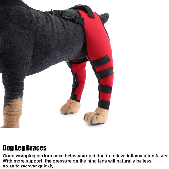 Tnfeeon Knee Support for Dogs, Leg Support for Ligament Injuries, Joint Pain and Sore Muscles, Adjustable Rear Support for Patella Dislocation (HJ27 Rear Legs Blue) Tnfeeon Knee Support for Dogs, Leg Support for Ligament Injuries, Joint Pain and Sore Muscles, Adjustable Rear Support for Patella Dislocation (HJ27 Rear Legs Blue)