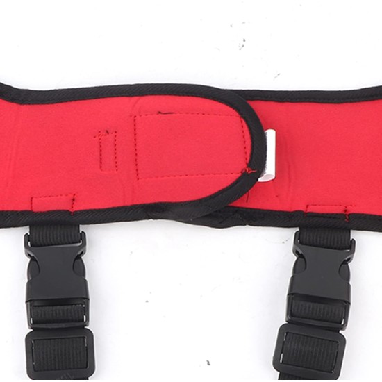 Tnfeeon Knee Support for Dogs, Leg Support for Ligament Injuries, Joint Pain and Sore Muscles, Adjustable Rear Support for Patella Dislocation (HJ27 Rear Legs Blue) Tnfeeon Knee Support for Dogs, Leg Support for Ligament Injuries, Joint Pain and Sore Muscles, Adjustable Rear Support for Patella Dislocation (HJ27 Rear Legs Blue)