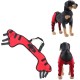 Tnfeeon Knee Support for Dogs, Leg Support for Ligament Injuries, Joint Pain and Sore Muscles, Adjustable Rear Support for Patella Dislocation (HJ27 Rear Legs Blue) Tnfeeon Knee Support for Dogs, Leg Support for Ligament Injuries, Joint Pain and Sore Muscles, Adjustable Rear Support for Patella Dislocation (HJ27 Rear Legs Blue)