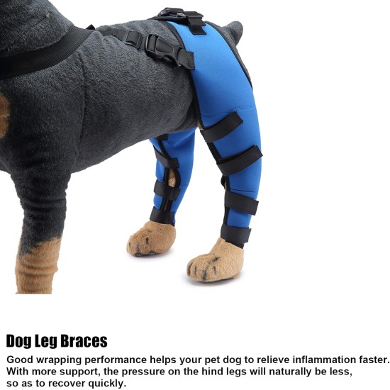 Tnfeeon Knee Support for Dogs, Leg Support for Ligament Injuries, Joint Pain and Sore Muscles, Adjustable Rear Support for Patella Dislocation (HJ27 Rear Legs Blue) Tnfeeon Knee Support for Dogs, Leg Support for Ligament Injuries, Joint Pain and Sore Muscles, Adjustable Rear Support for Patella Dislocation (HJ27 Rear Legs Blue)