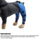 Tnfeeon Knee Support for Dogs, Leg Support for Ligament Injuries, Joint Pain and Sore Muscles, Adjustable Rear Support for Patella Dislocation (HJ27 Rear Legs Blue) Tnfeeon Knee Support for Dogs, Leg Support for Ligament Injuries, Joint Pain and Sore Muscles, Adjustable Rear Support for Patella Dislocation (HJ27 Rear Legs Blue)