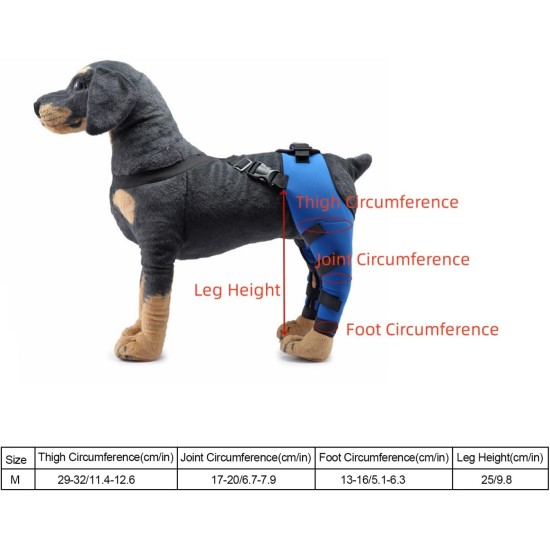 Tnfeeon Knee Support for Dogs, Leg Support for Ligament Injuries, Joint Pain and Sore Muscles, Adjustable Rear Support for Patella Dislocation (HJ27 Rear Legs Blue) Tnfeeon Knee Support for Dogs, Leg Support for Ligament Injuries, Joint Pain and Sore Muscles, Adjustable Rear Support for Patella Dislocation (HJ27 Rear Legs Blue)