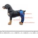 Tnfeeon Knee Support for Dogs, Leg Support for Ligament Injuries, Joint Pain and Sore Muscles, Adjustable Rear Support for Patella Dislocation (HJ27 Rear Legs Blue) Tnfeeon Knee Support for Dogs, Leg Support for Ligament Injuries, Joint Pain and Sore Muscles, Adjustable Rear Support for Patella Dislocation (HJ27 Rear Legs Blue)