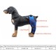 Tnfeeon Knee Support for Dogs, Leg Support for Ligament Injuries, Joint Pain and Sore Muscles, Adjustable Rear Support for Patella Dislocation (HJ27 Rear Legs Blue) Tnfeeon Knee Support for Dogs, Leg Support for Ligament Injuries, Joint Pain and Sore Muscles, Adjustable Rear Support for Patella Dislocation (HJ27 Rear Legs Blue)