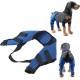 Tnfeeon Knee Support for Dogs, Leg Support for Ligament Injuries, Joint Pain and Sore Muscles, Adjustable Rear Support for Patella Dislocation (HJ27 Rear Legs Blue) Tnfeeon Knee Support for Dogs, Leg Support for Ligament Injuries, Joint Pain and Sore Muscles, Adjustable Rear Support for Patella Dislocation (HJ27 Rear Legs Blue)