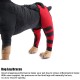 Tnfeeon Knee Support for Dogs, Leg Support for Ligament Injuries, Joint Pain and Soreness, Adjustable Back Support for Patella Dislocation (HJ26 Rear Double Leggings Tnfeeon Knee Support for Dogs, Leg Support for Ligament Injuries, Joint Pain and Soreness, Adjustable Back Support for Patella Dislocation (HJ26 Rear Double Leggings
