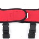 Tnfeeon Knee Support for Dogs, Leg Support for Ligament Injuries, Joint Pain and Soreness, Adjustable Back Support for Patella Dislocation (HJ26 Rear Double Leggings Tnfeeon Knee Support for Dogs, Leg Support for Ligament Injuries, Joint Pain and Soreness, Adjustable Back Support for Patella Dislocation (HJ26 Rear Double Leggings
