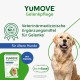 YuMOVE Green-lipped Mussel Dog Joint Tablets - 120 Tablets - For Older Dogs from 8 Years - Mobility and Joint Function - Joint Tablets for Dogs with Omega-3 and Vitamin E