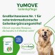 Yumove Lintbells Adult Senior Dog | Hip and Joint Supplement for Stiff Adult Dogs with Glucosamine, Chondroitin, Green-Lipped Mussel | 9+ | 120 Tablets Yumove Lintbells Adult Senior Dog | Hip and Joint Supplement for Stiff Adult Dogs with Glucosamine, Chondroitin, Green-Lipped Mussel | 9+ | 120 Tablets