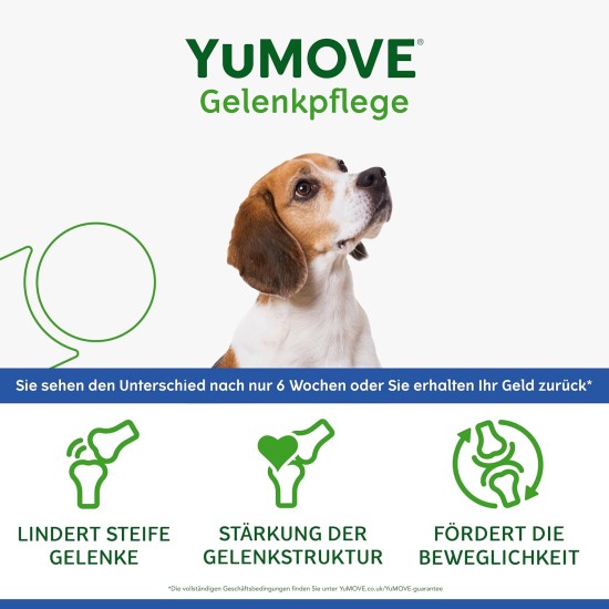 Yumove Lintbells Adult Senior Dog | Hip and Joint Supplement for Stiff Adult Dogs with Glucosamine, Chondroitin, Green-Lipped Mussel | 9+ | 120 Tablets Yumove Lintbells Adult Senior Dog | Hip and Joint Supplement for Stiff Adult Dogs with Glucosamine, Chondroitin, Green-Lipped Mussel | 9+ | 120 Tablets