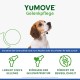 Yumove Lintbells Adult Senior Dog | Hip and Joint Supplement for Stiff Adult Dogs with Glucosamine, Chondroitin, Green-Lipped Mussel | 9+ | 120 Tablets Yumove Lintbells Adult Senior Dog | Hip and Joint Supplement for Stiff Adult Dogs with Glucosamine, Chondroitin, Green-Lipped Mussel | 9+ | 120 Tablets