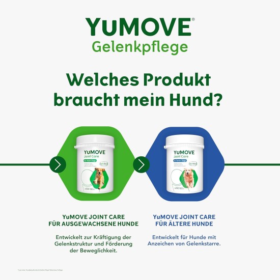 Yumove Lintbells Adult Senior Dog | Hip and Joint Supplement for Stiff Adult Dogs with Glucosamine, Chondroitin, Green-Lipped Mussel | 9+ | 120 Tablets Yumove Lintbells Adult Senior Dog | Hip and Joint Supplement for Stiff Adult Dogs with Glucosamine, Chondroitin, Green-Lipped Mussel | 9+ | 120 Tablets