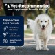 Yumove Lintbells Adult Senior Dog | Hip and Joint Supplement for Stiff Adult Dogs with Glucosamine, Chondroitin, Green-Lipped Mussel | 9+ | 120 Tablets Yumove Lintbells Adult Senior Dog | Hip and Joint Supplement for Stiff Adult Dogs with Glucosamine, Chondroitin, Green-Lipped Mussel | 9+ | 120 Tablets