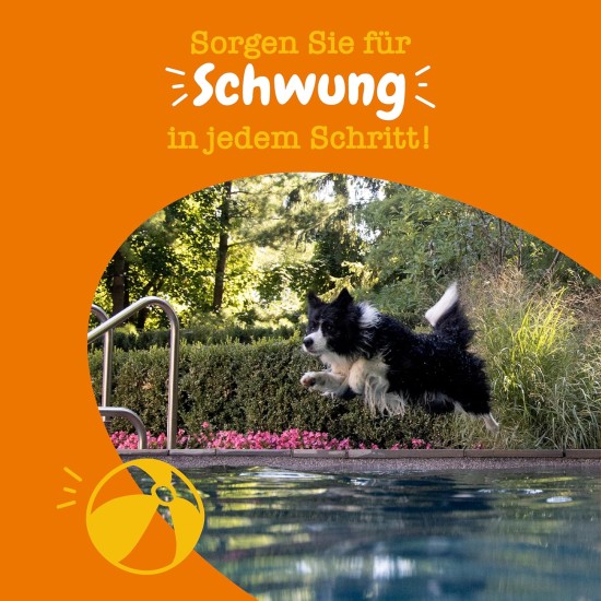 Zesty Paws Chew Snacks for Hip and Joint Mobility | Joint Tablets Dog | Hip and Joint Chews | Dog Chews with Glucosamine, Chondroitin and Ovopet + Vitamin C and E | Turkey | Pack of 90 Zesty Paws Chew Snacks for Hip and Joint Mobility | Joint Tablets Dog | Hip and Joint Chews | Dog Chews with Glucosamine, Chondroitin and Ovopet + Vitamin C and E | Turkey | Pack of 90