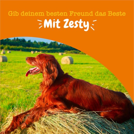 Zesty Paws Chew Snacks for Hip and Joint Mobility | Joint Tablets Dog | Hip and Joint Chews | Dog Chews with Glucosamine, Chondroitin and Ovopet + Vitamin C and E | Turkey | Pack of 90 Zesty Paws Chew Snacks for Hip and Joint Mobility | Joint Tablets Dog | Hip and Joint Chews | Dog Chews with Glucosamine, Chondroitin and Ovopet + Vitamin C and E | Turkey | Pack of 90