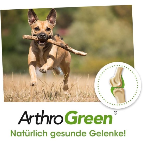 cdVet Naturprodukte GmbH ArthroGreen 70 g cdVet Naturprodukte GmbH ArthroGreen 70 g