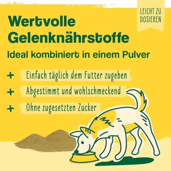 ida+ - 12-in-1 Move Complex Joint Powder for Dogs - Developed with Veterinarians - Green-lipped Mussel, MSM, Omega-3 & Devil's Claw Support Dog Joints - High Acceptance by Dogs - 160 g ida+ - 12-in-1 Move Complex Joint Powder for Dogs - Developed with Veterinarians - Green-lipped Mussel, MSM, Omega-3 & Devil's Claw Support Dog Joints - High Acceptance by Dogs - 160 g