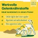 ida+ - 12-in-1 Move Complex Joint Powder for Dogs - Developed with Veterinarians - Green-lipped Mussel, MSM, Omega-3 & Devil's Claw Support Dog Joints - High Acceptance by Dogs - 160 g